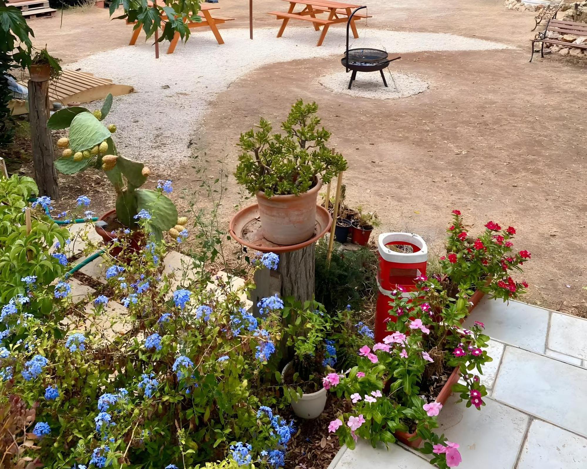 Chill Garden Experience B&B San Pietro in Bevagna Ngoại thất bức ảnh